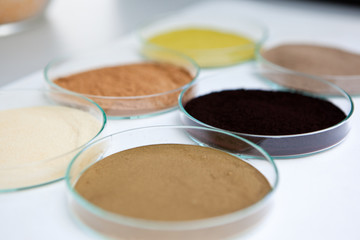 Olive extractions in a laboratory