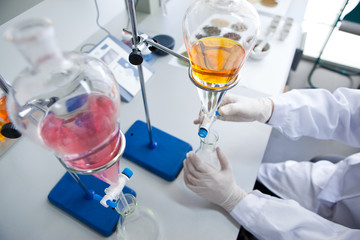 Olive extractions in a laboratory
