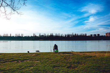 Obraz premium Fisherman with a fishing rod on the river bank. Cats. Blue sky