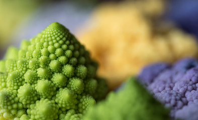 broccolo romano in primo piano 