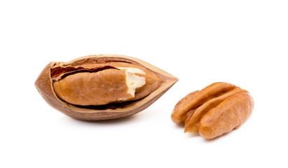  Fresh pecan nuts isolated on a white background