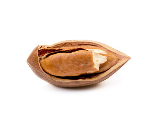  Fresh pecan nuts isolated on a white background