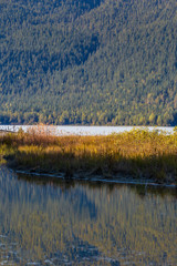 Walking Around the Mendenhall Glacier Visitor Centre near Juneau Alaska