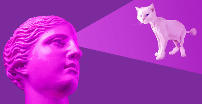 Modern conceptual art poster with purple pink antique bust and white cat. Contemporary art collage. - Powered by Adobe