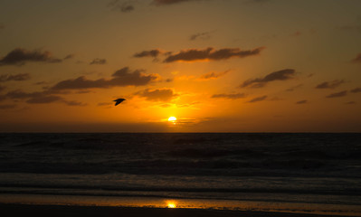 Amanecer