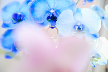 wedding rings lie on the blue Orchid, selective focus