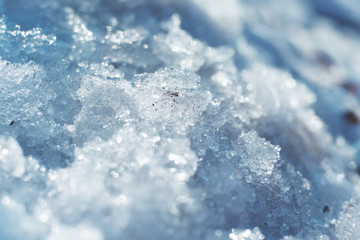 Spring. Melting ice on a sunny day. Warming