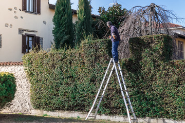 Man at work on a ladder with hedge trimmer in action © KYNA STUDIO