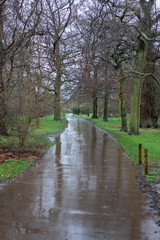 Fototapeta na wymiar road in the park in the rain