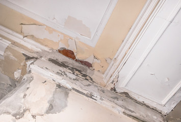 Ceiling and walls damage by humidity