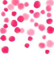Pink rose petals falling vector valentine background.