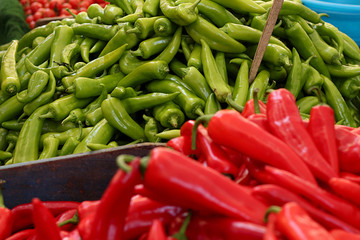 Coarse red and green peppers in the fruit market