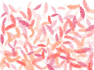 Fototapeta premium Falling feather elements soft vector design.