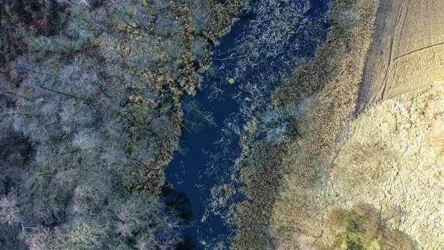 Aerial view of strange swamps and river in Poland