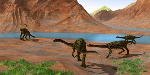 Anchisaurus Dinosaurs - Prosauropod Anchisaurus dinosaurs gather together to keep watch for predators and get a drink of water during the Jurassic Period. © Catmando