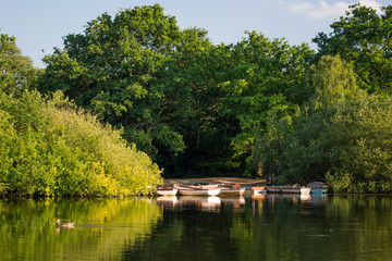 Boats on lake on a sunny day © Wiktor