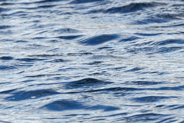 Water waves and ripples.