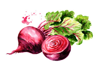 Fresh whole and half Beet root with green leaves. Watercolor hand drawn illustration  isolated on white background - obrazy, fototapety, plakaty