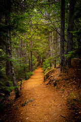 View from trail to lower and upper Dewey lake, Starting from Skagway Alaska 