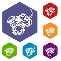 Texas snake icons vector colorful hexahedron set collection isolated on white