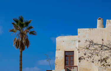 Cycladic house with palm tree under a blue Sky, Paros, Greece