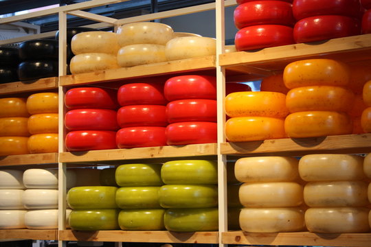 many different shapes of colored Dutch cheese stacked on neat shelves. culinary product typical of amsterdam