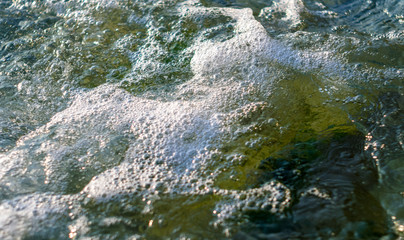 stones with green algae in clear sea water