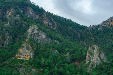 Forest and mountain in Fethiye, Mugla, Turkey