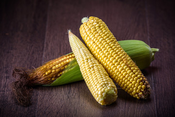 Ripe corn cobs on a dark wooden background.