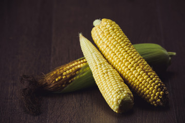 Ripe corn cobs on a dark wooden background.