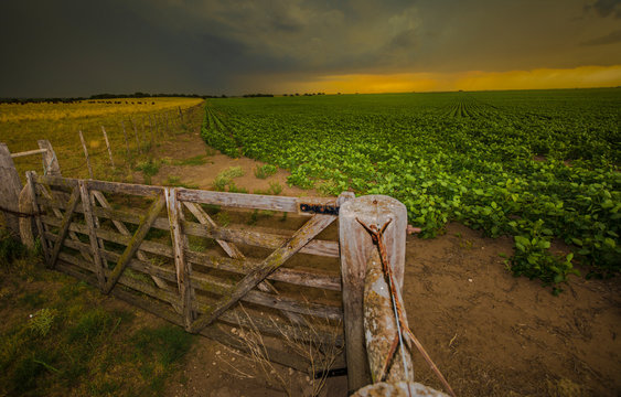 tranquera y tormenta en campo de soja 