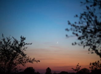 Beautiful sunset. Among the branches of the trees is the moon