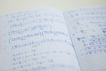 Math equations in the notebook
