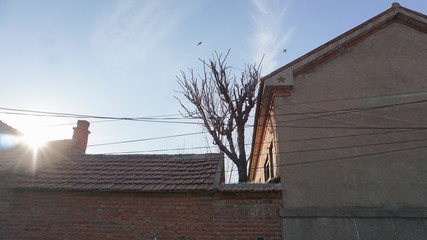 roof of an old house