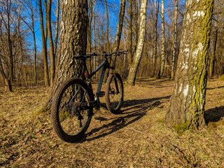 Fototapeta premium MTB bicycle on the trail in the spring season