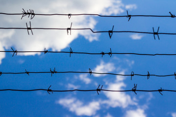 Barbed wire closes blue sky