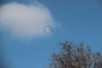 мыльные пузыри