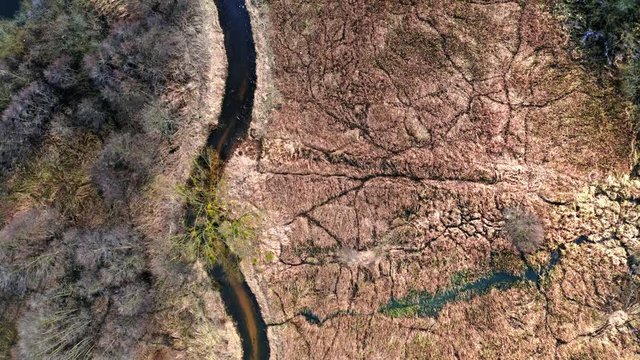Aerial view of strange swamps and river in Poland