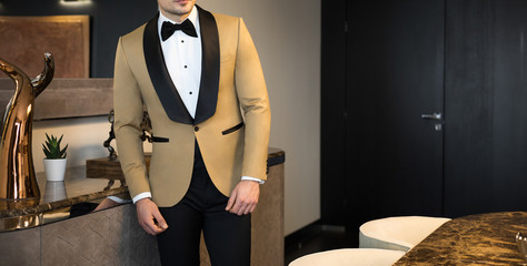 Man model in expensive custom tailored tuxedo, suit standing and posing indoors