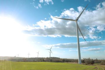 Wind farm for electric power 