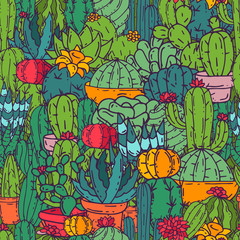 Succulents seamless pattern cacti green plants vector illustration. Nature botanical houseplant floral banner. Cactus design botany bouquet. Decorative flora garden card.