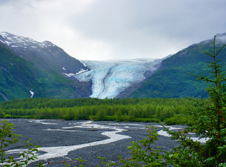 Closed clouds day, overlooking the Exit Glacier showing its blue ice, white snow, and a lush landscape. Portrait, fine art. Exit Glacier in Kenai Fjords National Park, Alaska. July 27, 2018