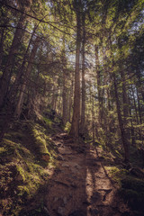 View from trail to lower and upper Dewey lake, Starting from Skagway Alaska 