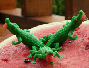  delicious juicy funny watermelon with toys