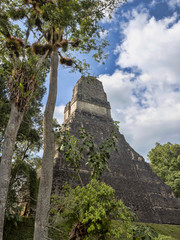 Pyramids in Nation's most significant Mayan city of Tikal Park, Guatemala