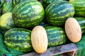 Fresh watermelons and melons ready to sale