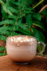 Cocoa with small marshmallows in a transparent cup on a wooden cut against the background of beautiful green leaves. Cocoa on a natural background. Close-up. Space
