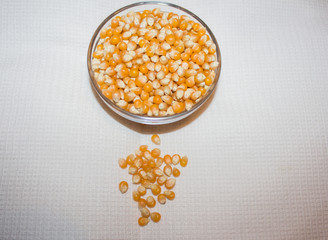 corn grains in the measuring bowl