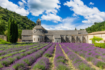 Provence, France. Senanque church.