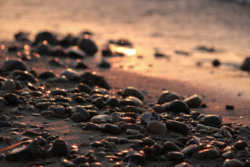 Rocks on beach in sunset light